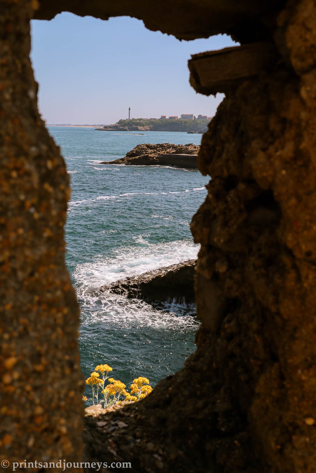 A framed view of the ocean, yellow flowers and Biarritz lighthouse taken from Rocher de la Vierge