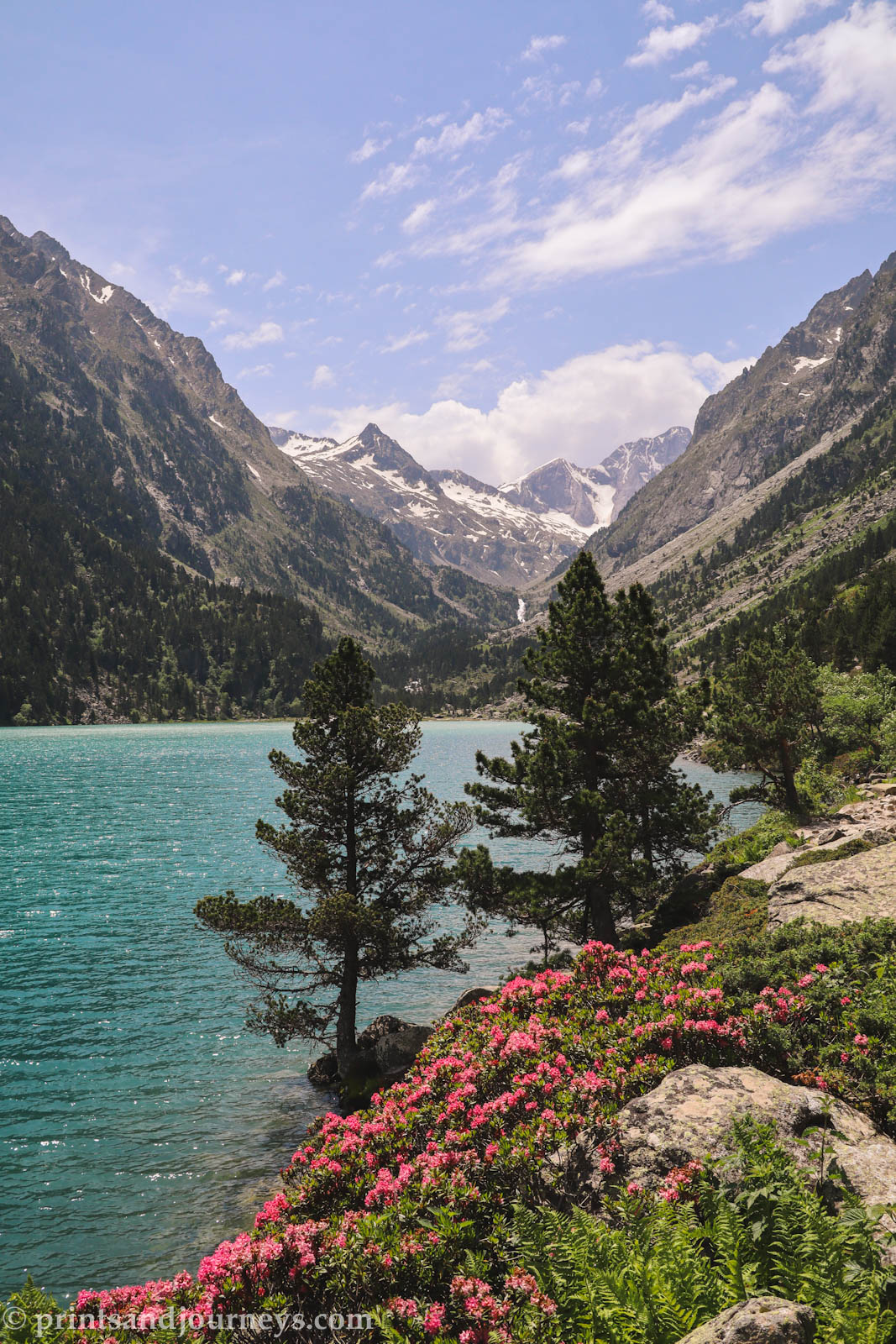 View from the end of Lac du Gaube in the French Pyrenees, with alpine roses in the foreground and the lake stretching toward the surrounding mountain peaks in the back valley.