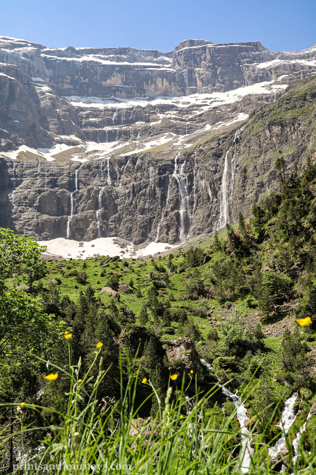 yellow flowers in front of multiple waterfalls flowing down the amphitheatre cliffs at cirque de gavarnie in the pyrenees mountains